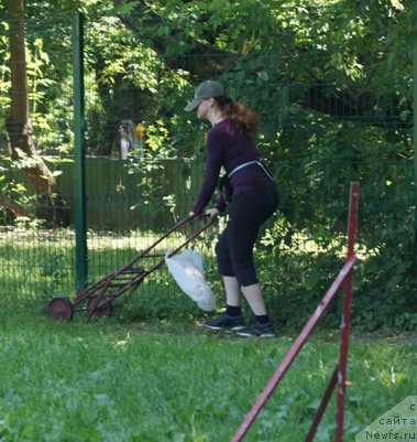 Фотография № 163908