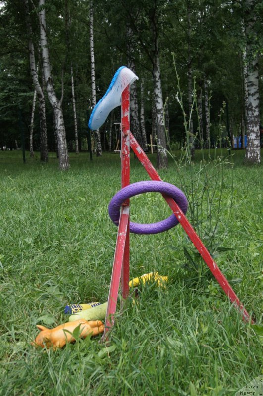 Фотография № 163918