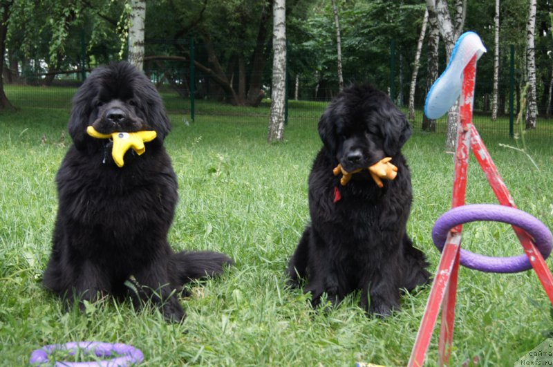 Фотография № 163920