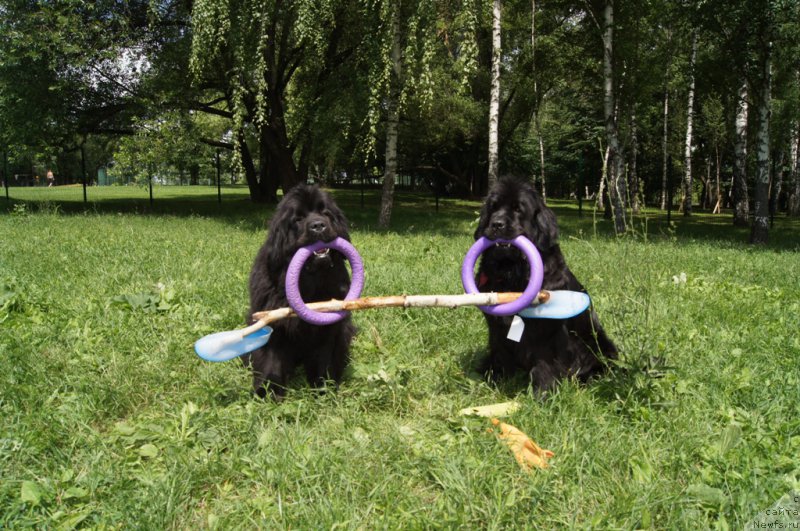 Фотография № 163921