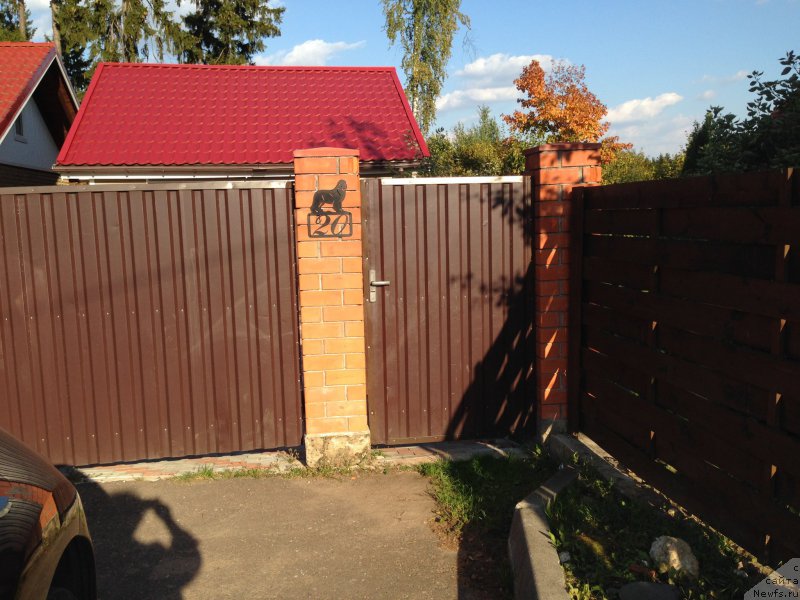 Фотография № 163922