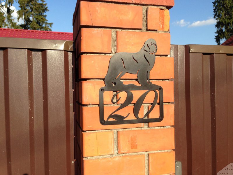 Фотография № 163923