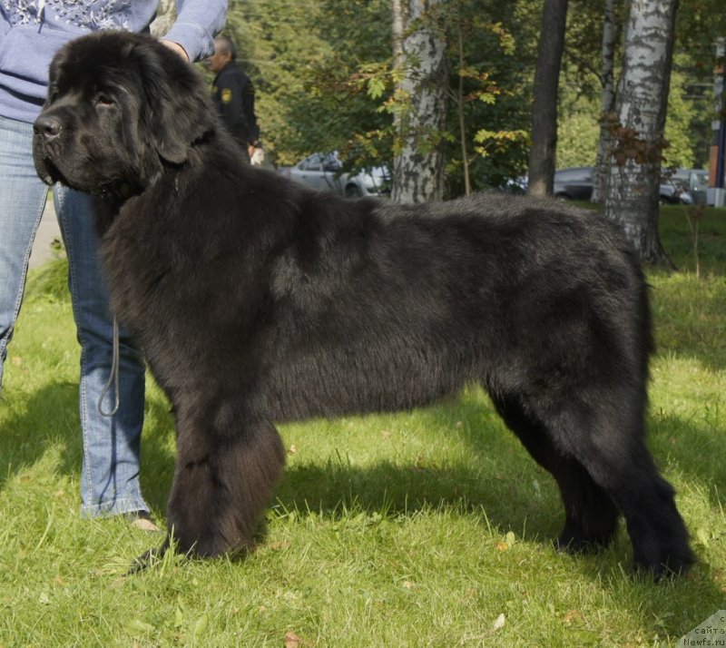 Фотография № 163971