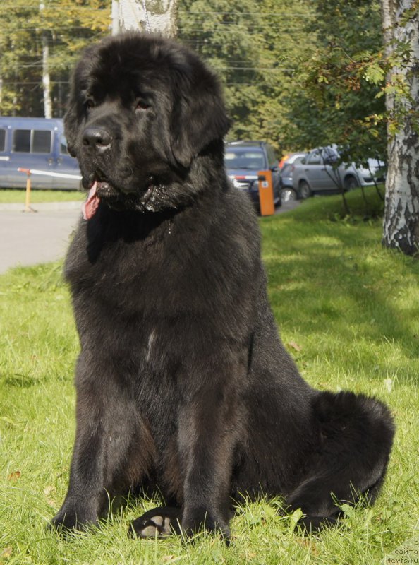 Фотография № 163972