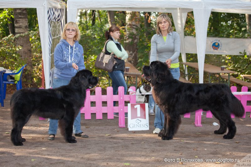 Фотография № 163974