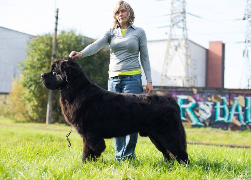 Фотография № 163975