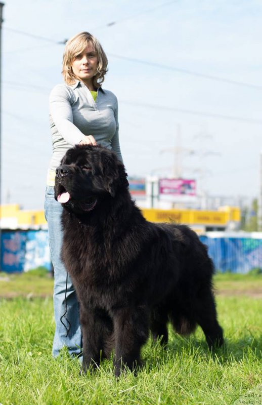 Фотография № 163976