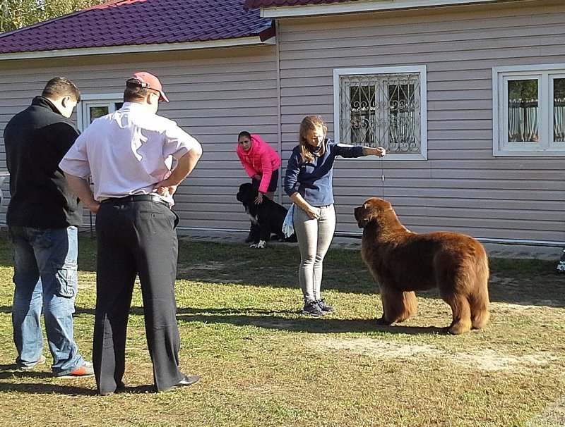 Фотография № 163977