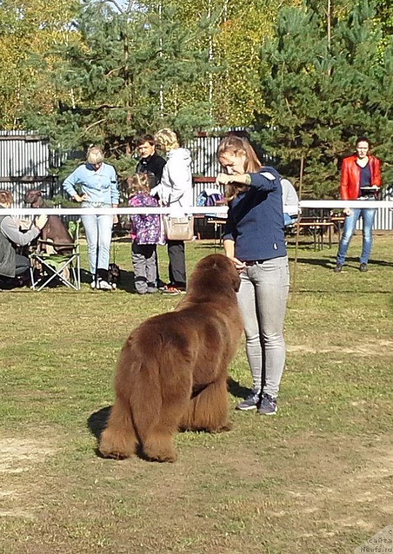 Фотография № 163978