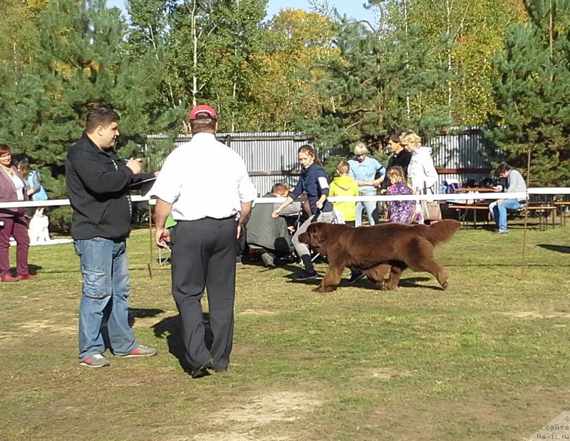 Фотография № 163979