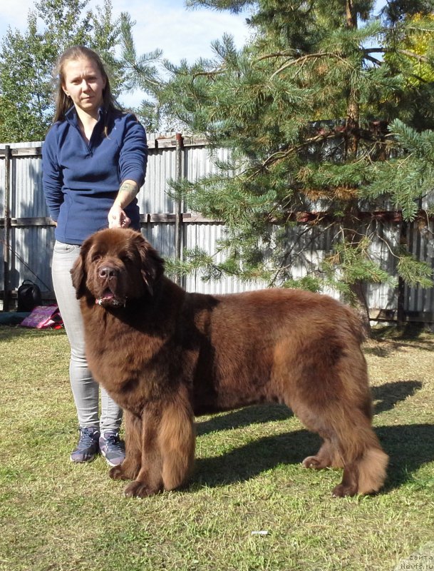 Фотография № 163982