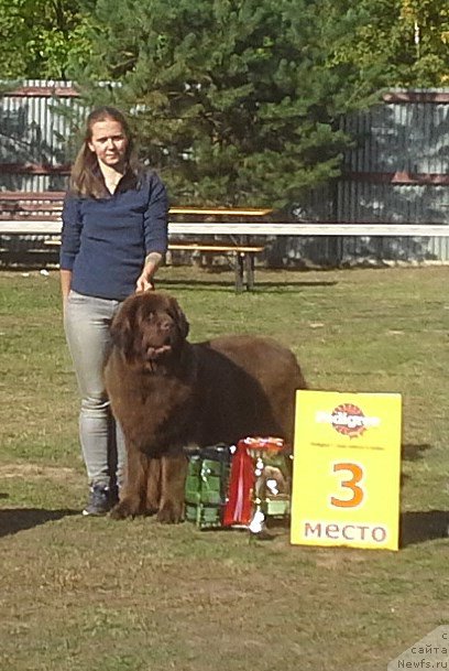 Фотография № 163983