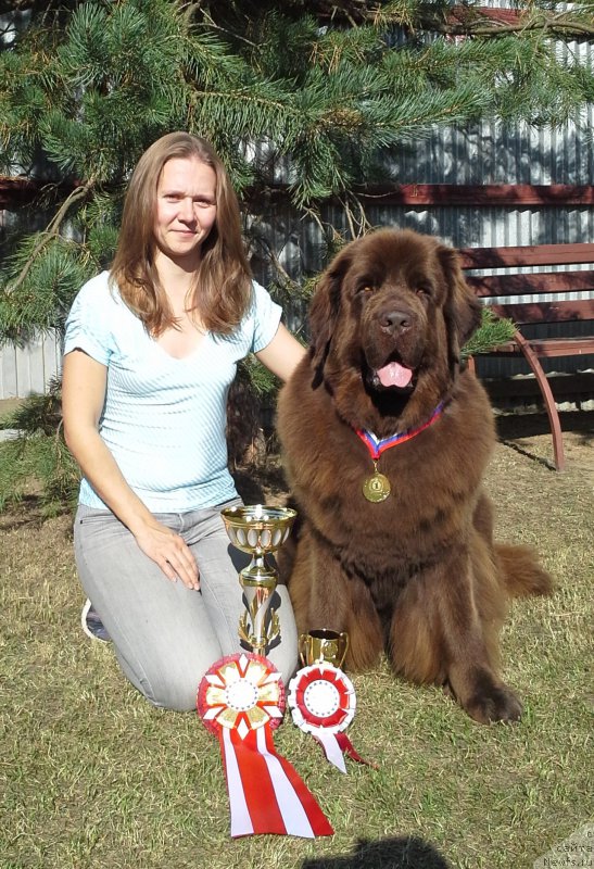 Фотография № 163984