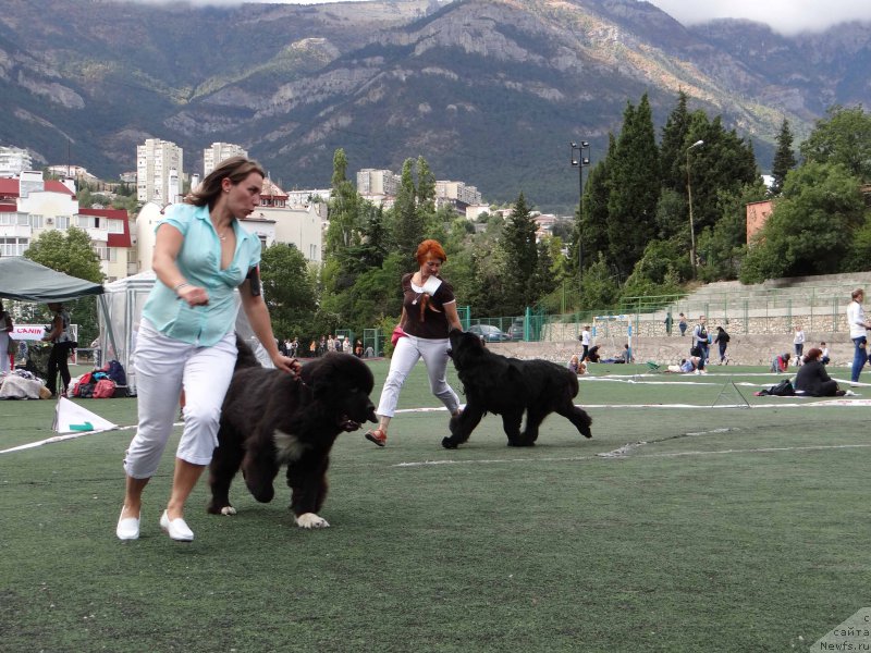 Фотография № 163998