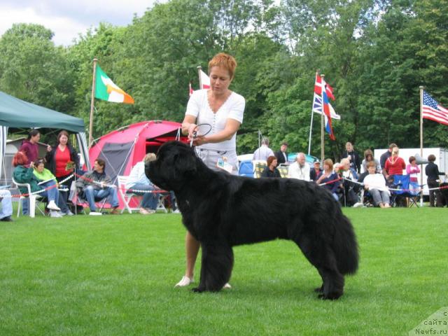 Фотография № 16400