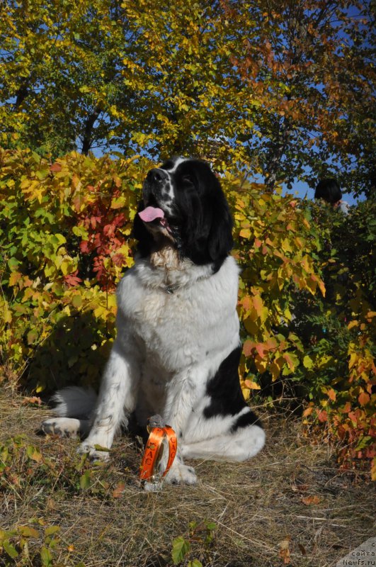 Фотография № 164039