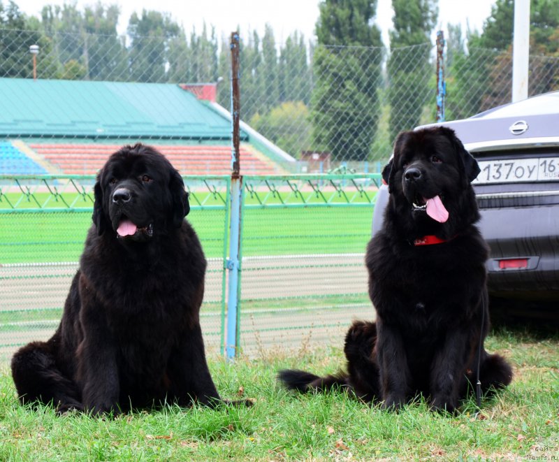 Фотография № 164042