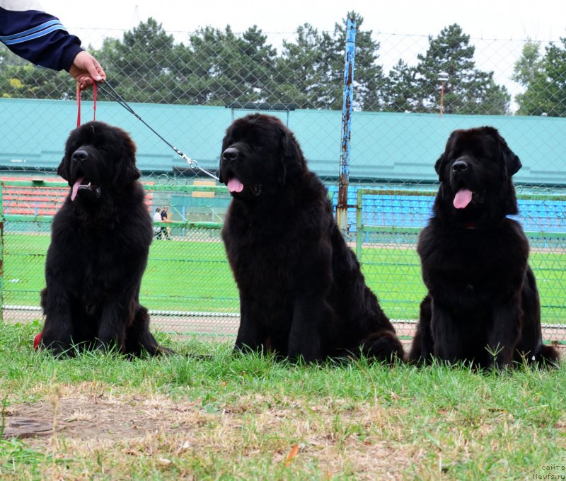 Фотография № 164044