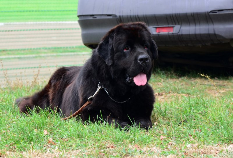 Фотография № 164047