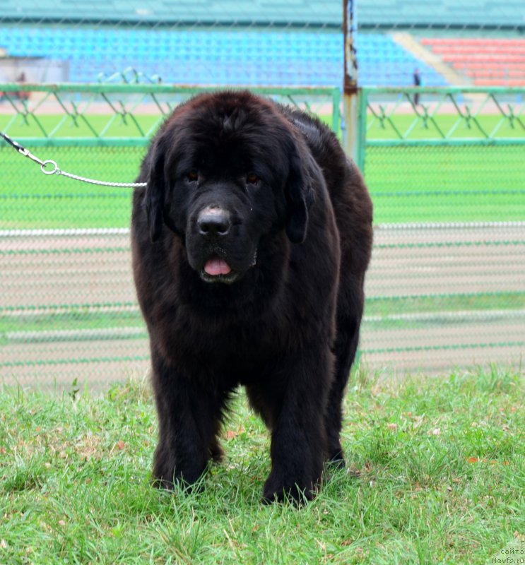 Фотография № 164049