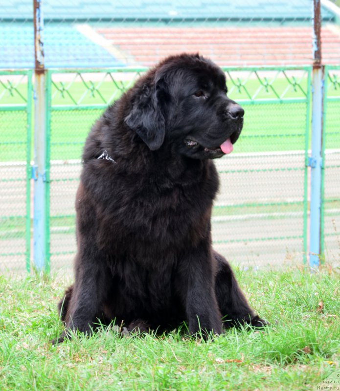 Фотография № 164056