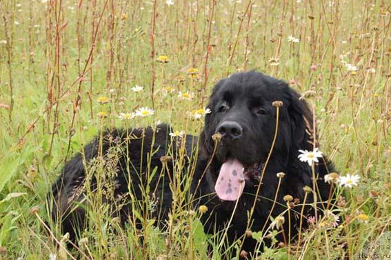 Фотография № 16406