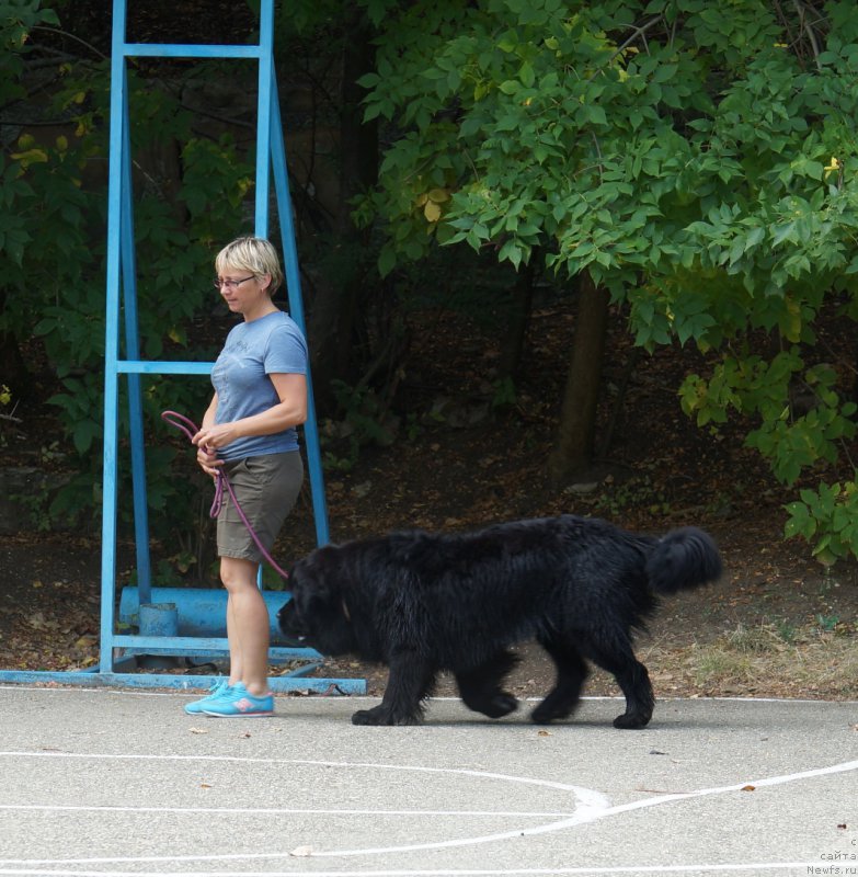 Фотография № 164066