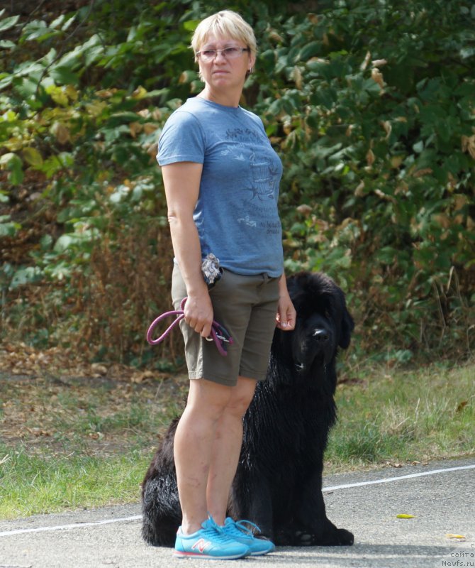 Фотография № 164069