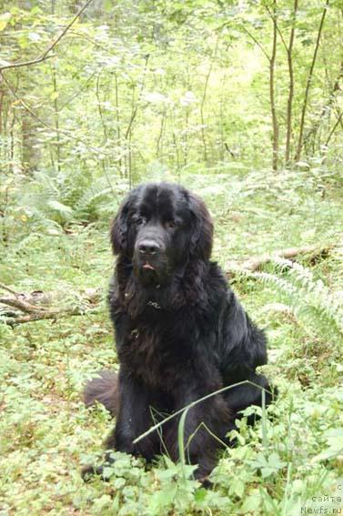 Фотография № 16407