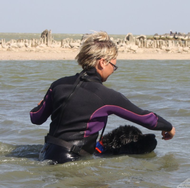 Фотография № 164071