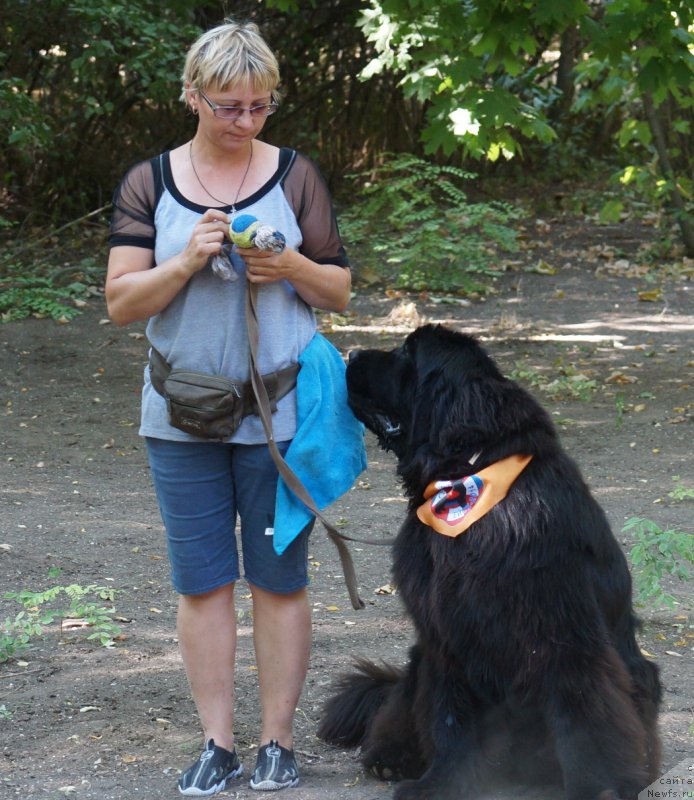 Фотография № 164073