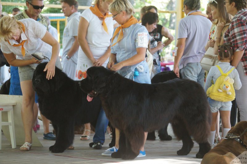 Фотография № 164074