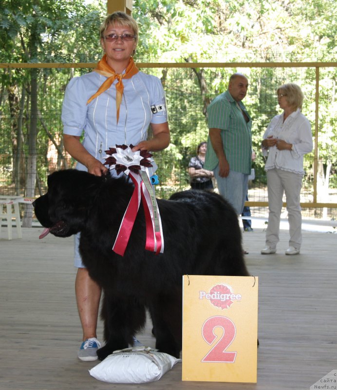 Фотография № 164078