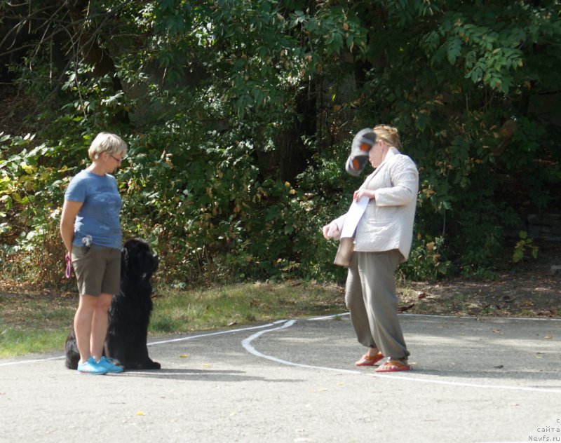 Фотография № 164082