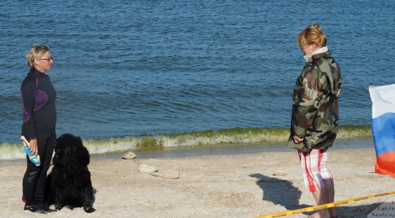 Фотография № 164083