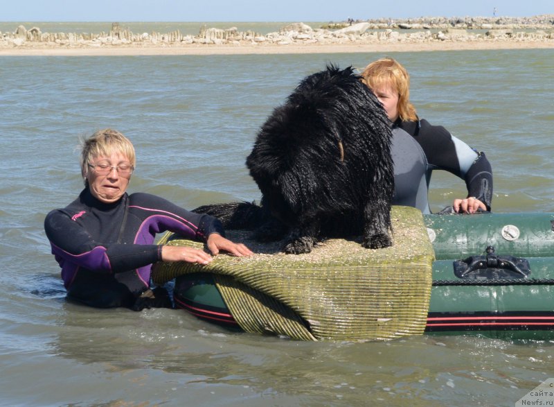 Фотография № 164085