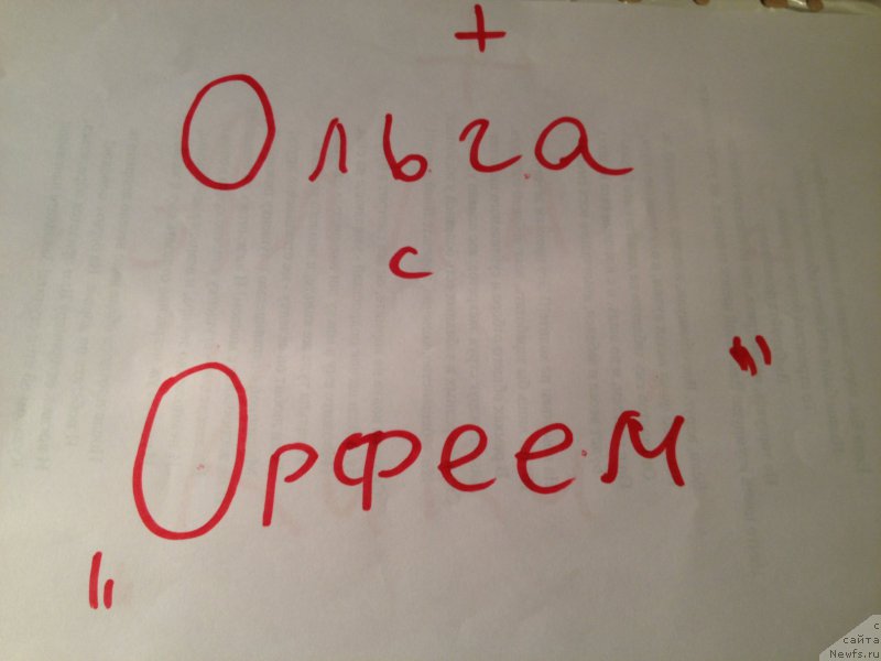 Фотография № 164089