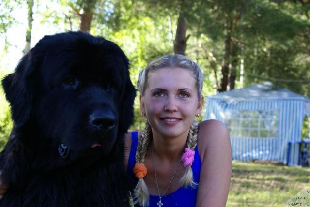 Фото: ньюфаундленд Маг Исполин Копперфильд, Александра Канунникова