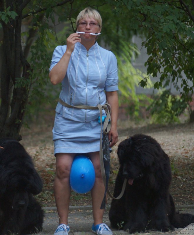 Фотография № 164092