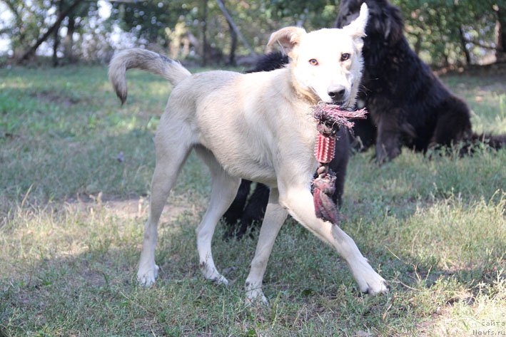 Фото: ТикиТа