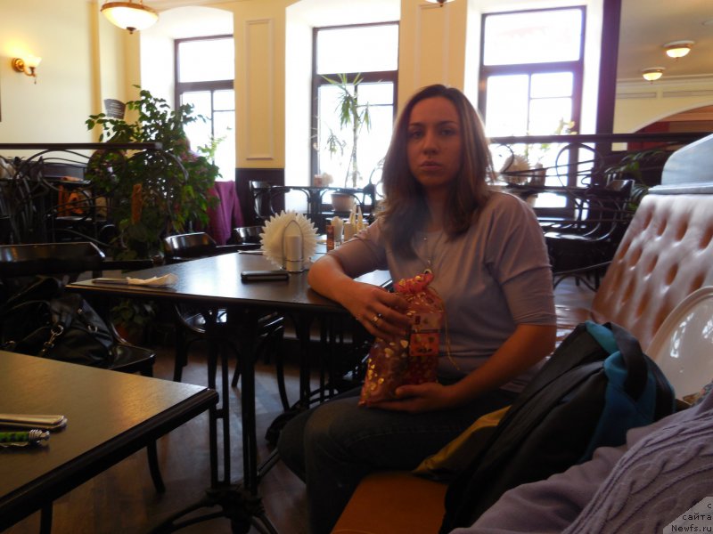 Фотография № 164127