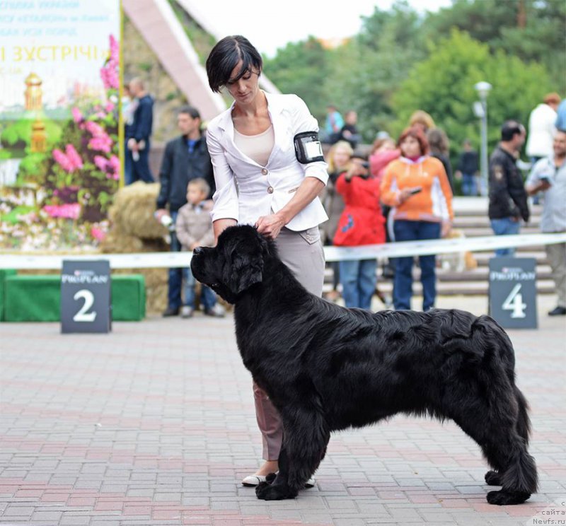 Фотография № 164133