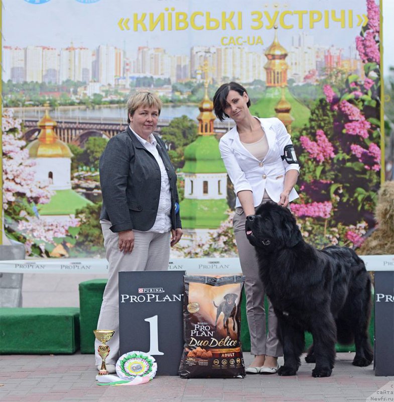 Фотография № 164134