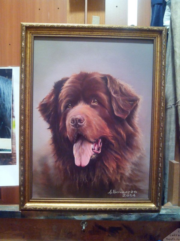 Фотография № 164157