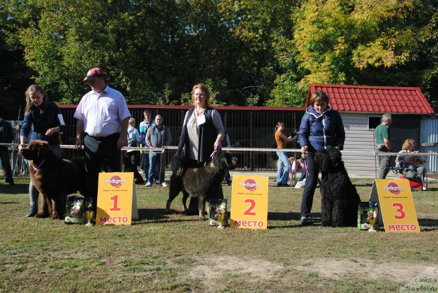 Фотография № 164158