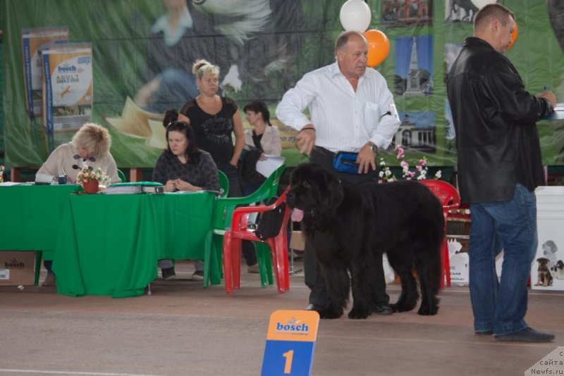 Фотография № 164184