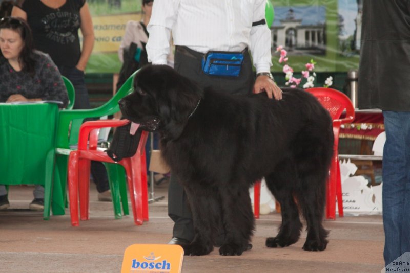 Фотография № 164185