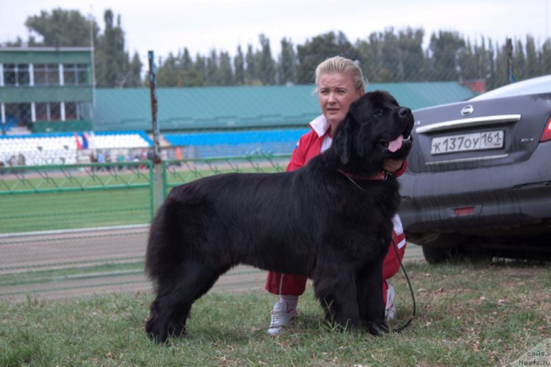 Фотография № 164190