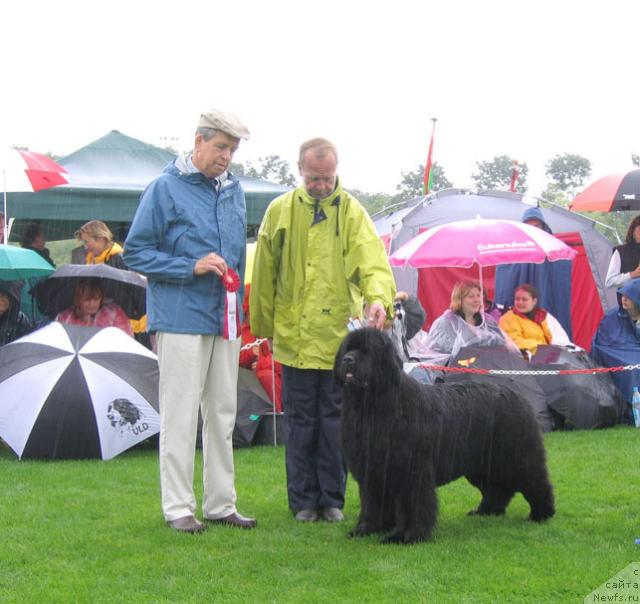 Фотография № 16420