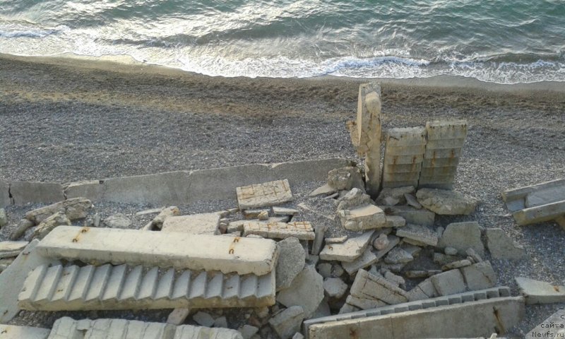 Фотография № 164202